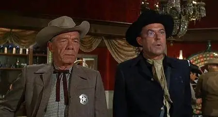 The Plainsman (1966)