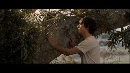 The Tree (2010)