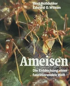 Ameisen: Die Entdeckung einer faszinierenden Welt by Bert Hölldobler, Edward O. Wilson