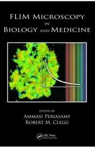 FLIM Microscopy in Biology and Medicine [Repost]