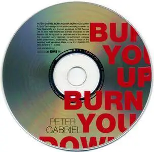 Peter Gabriel - Burn You Up, Burn You Down (2003)