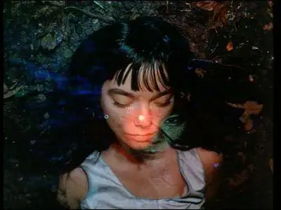 Björk ‎- Greatest Hits (Volumen 1993-2003) (2004)