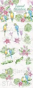 Summer Watercolor Clipart Parrot 1568450