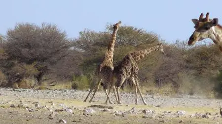 Absurd Planet S01E09