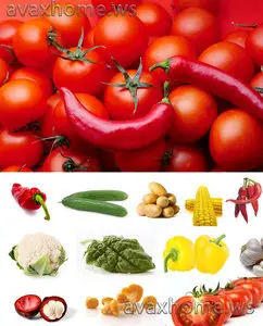 Vegetables