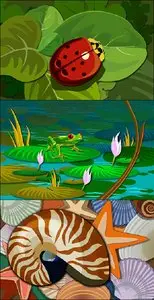 Graphics - Ladybug Shell Frog