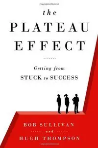 The Plateau Effect: Getting from Stuck to Success (Repost)