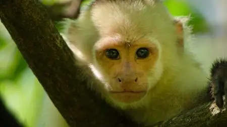 Wild Babies S01E04