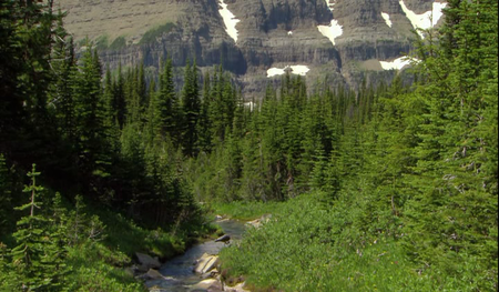 National Geographic - Glacier National Park (2010)