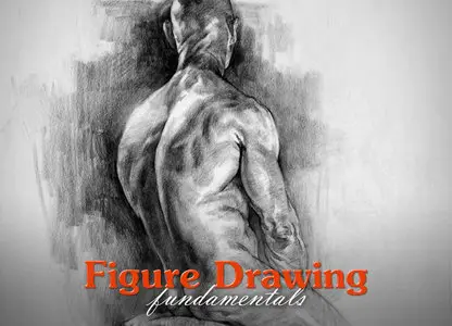 Proko - Figure Drawing Fundamentals Course
