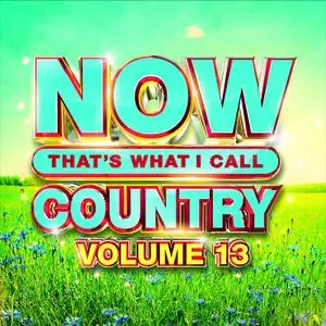 VA - NOW Thats What I Call Music Country 13 (2020)