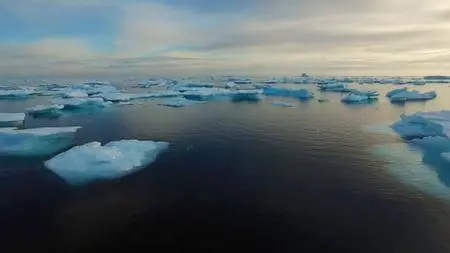 Smithsonian Earth - Arctic Secrets: Series 1 (2015)