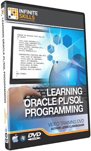 Infinite Skills - Learning Oracle PL/SQL Programming Training Video