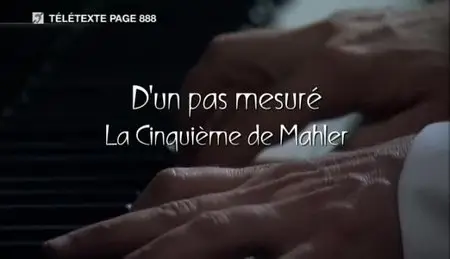 (Arte) La Symphonie n° 5 de Mahler - D’un pas mesuré (2010)