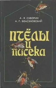 Пчелы и пасека