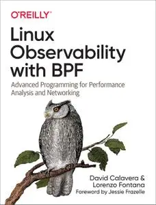 Linux Observability with BPF: Advanced Programming for Performance Analysis and Networking