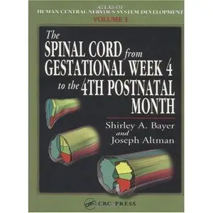 The Spinal Cord from Gestational Week 4 to the 4th Postnatal Month (repost)