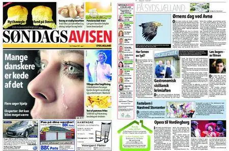 Søndagsavisen Sydsjælland – 16. februar 2017