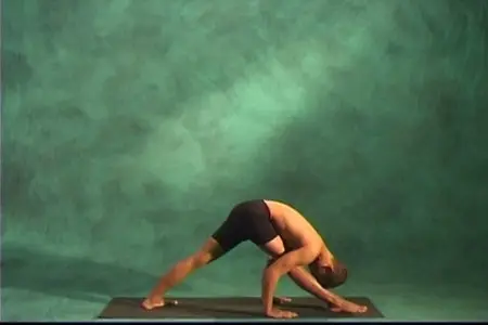 Barbara Benagh - Power Yoga for Everybody