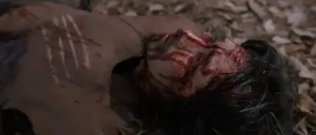 Shinobi (2005)