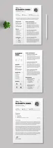 Clean Resume Template Layout 767334119