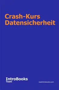 Crash-Kurs Datensicherheit: IntroBooks Team