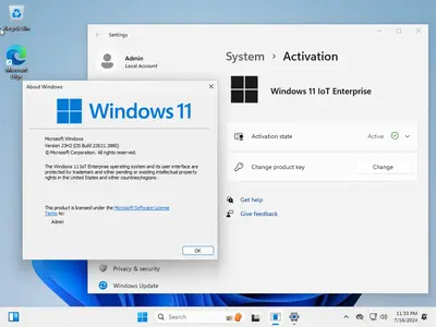 Windows 11 IoT Enterprise 23H2 Build 22631.3880 (No TPM Required) Preactivated Multilingual July 2024