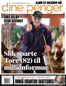 Dine Penger - 10 November 2025