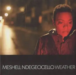 Meshell Ndegeocello - Weather (2011)