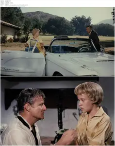 The Parent Trap (1961)