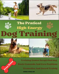 The Practical High-Energy Dog Training