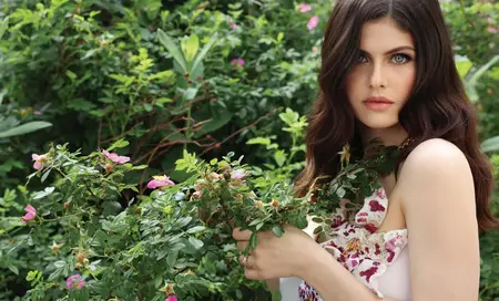 Alexandra Daddario by Fadil Berisha for Social Life July 4, 2025