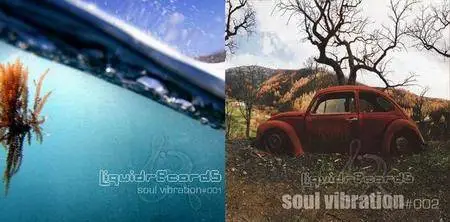 V.A. - Soul Vibration 1-2 (2005-2008)