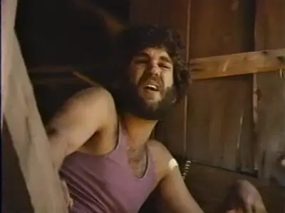 The Hitchhikers (1972)
