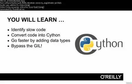Infiniteskills - Learning Cython Training Video
