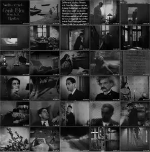 Vampyr (1932) [The Criterion Collection]