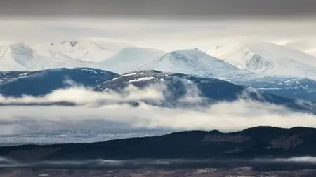 BBC - Scotland: The New Wild (2023)