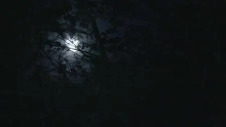 Terror in the Woods S01E08