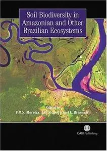 Soil biodiversity in Amazonian and other Brazilian ecosystems