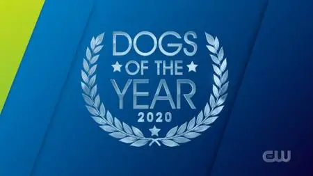 Dogs Of The Year (2020)