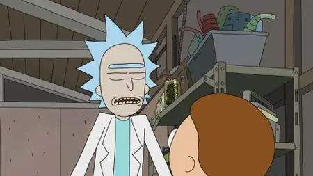 Rick and Morty S01E05