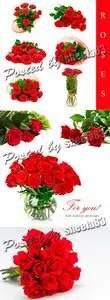 Stock Photo - Red Roses 2