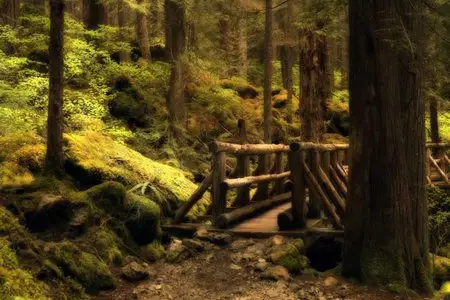 Wallpaper-Nature