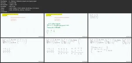 Algebra Lineare - Un Corso Che Va Dalla Teoria Alla Pratica!
