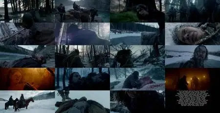 The Revenant (2015)