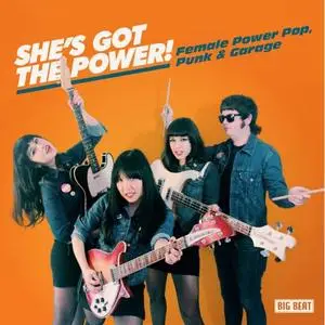 VA - Shes Got the Power! Female Power Pop, Punk & Garage (2023)