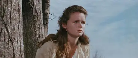 Wild River (1960)