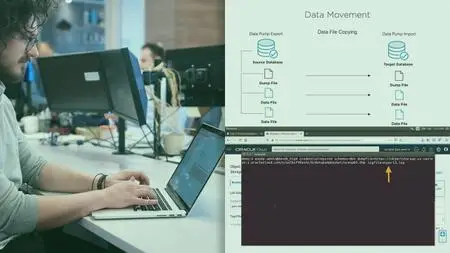 Importing and Exporting Oracle Data for DBAs