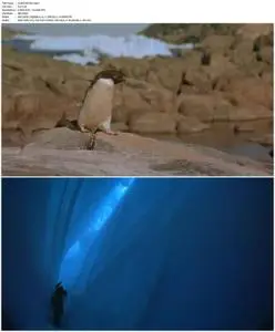 Antarctica (1991)