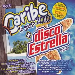VA - Disco Estrella Vol. 13 (2010)